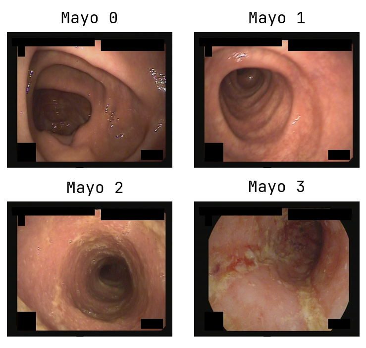 Source visual: 05 Dataset Images